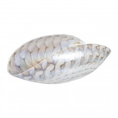 Organic form ivory and opalescent Murano glass bowl